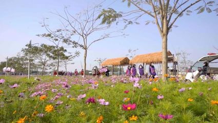 百花爭春！2023廣東省森林文化周春季活動(dòng)正式啟動(dòng)