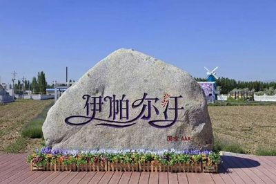 走進(jìn)中國著名工廠 探索伊利與片仔癀的工業(yè)魅力與休閑觀光