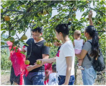 鏡頭下的悠然時(shí)光 探索休閑觀(guān)光活動(dòng)中的視覺(jué)敘事